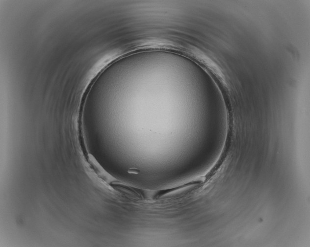 X0000111901330200908031109