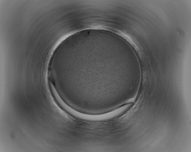 X0000111901331200908031109