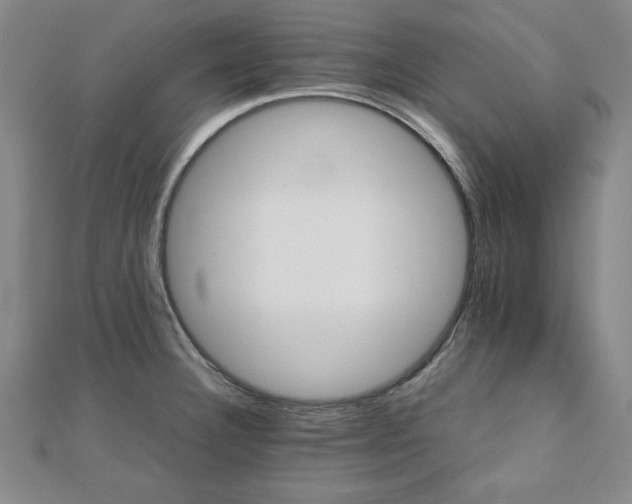 X0000111901332200908031109