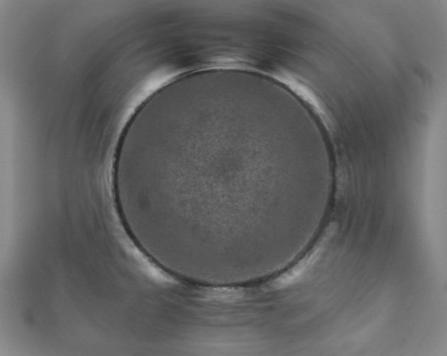 X0000111901333200908031109