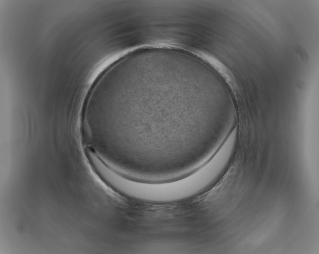 X0000111901335200908031109