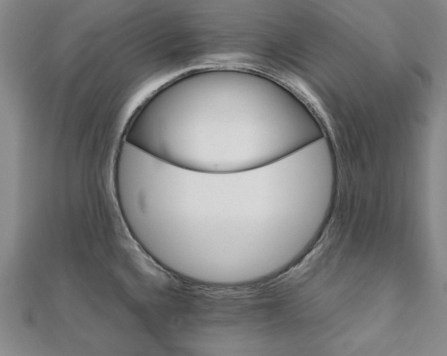 X0000111901336200908031109