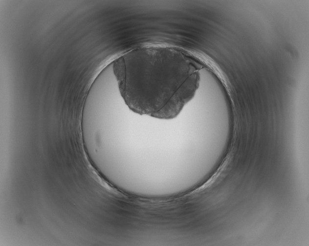 X0000111901337200908031109