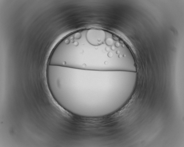 X0000111901339200908031109