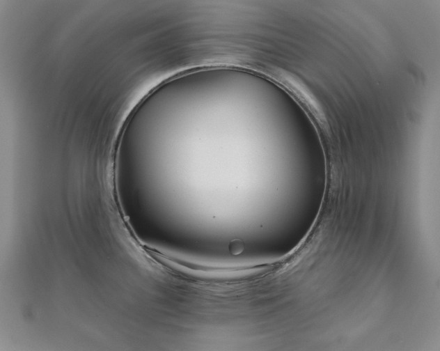 X0000111901340200908031109