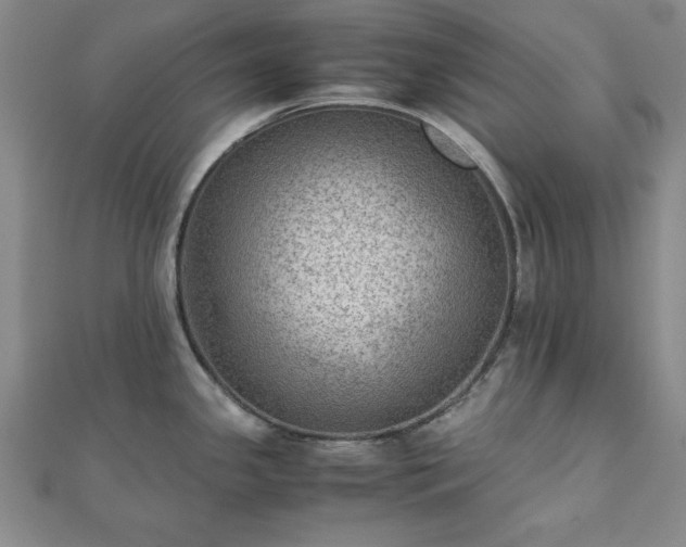 X0000111901341200908031109