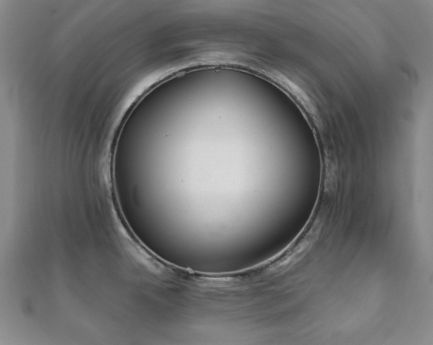 X0000111901342200908031109