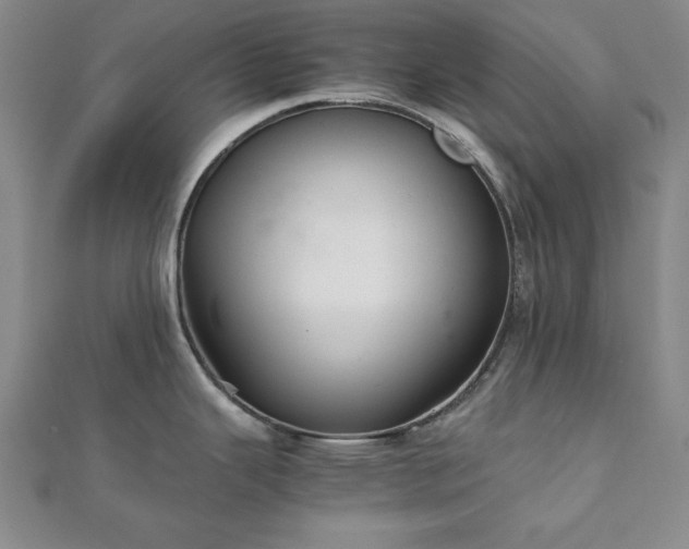 X0000111901343200908031109