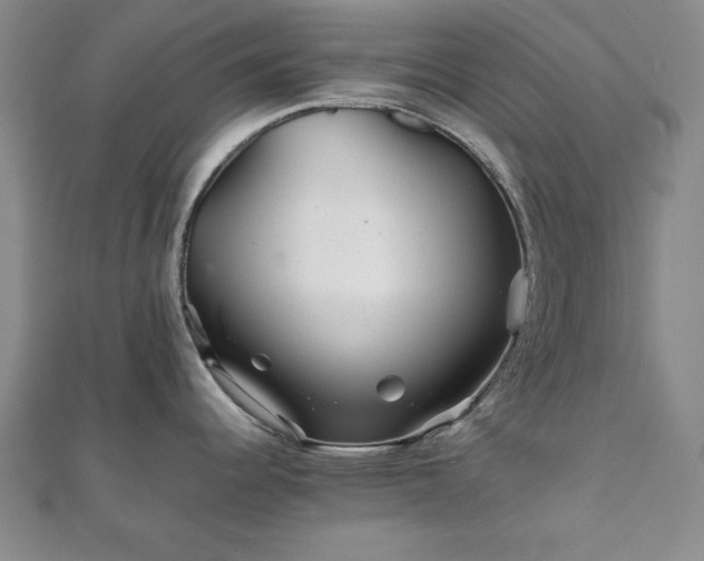 X0000111901344200908031109