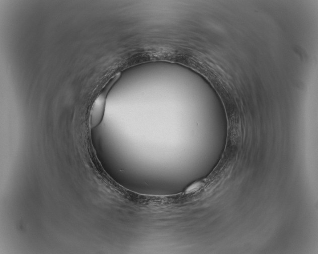 X0000111901345200908031108