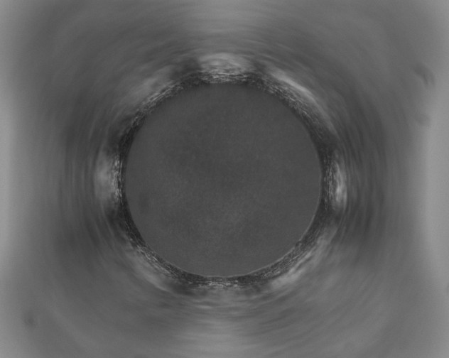 X0000111901346200908031108