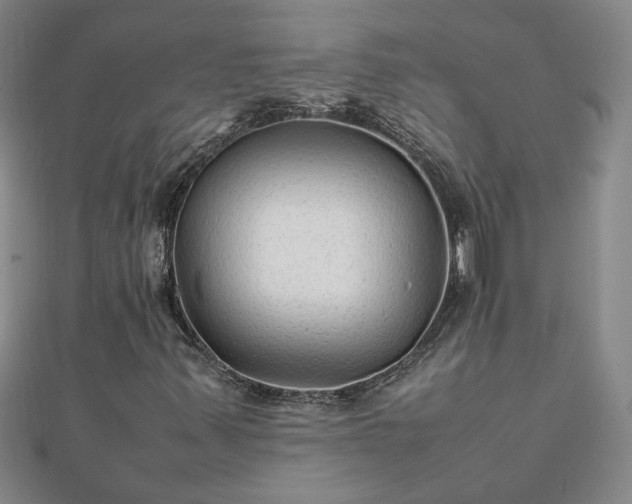 X0000111901347200908031108