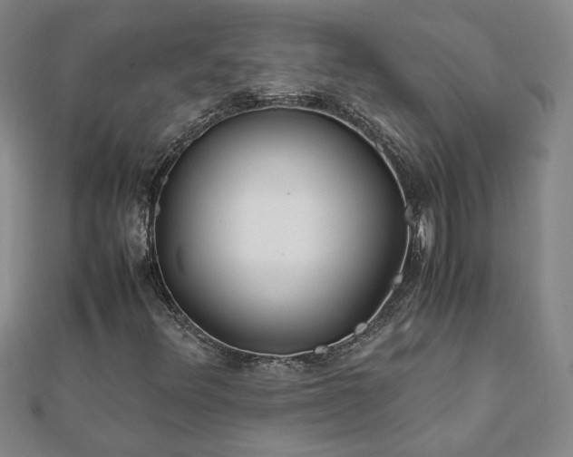 X0000111901348200908031108