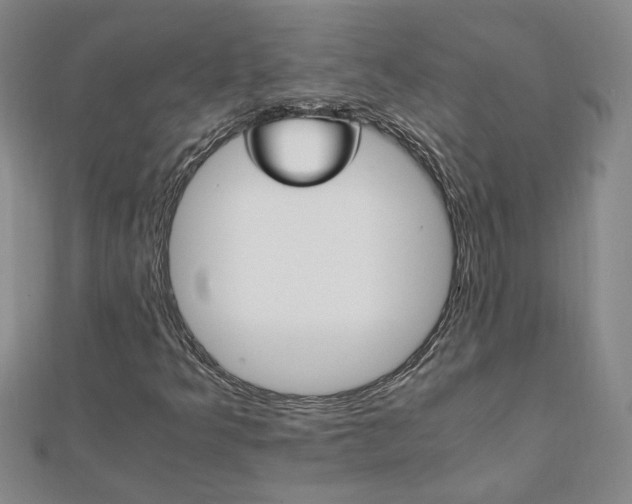 X0000111901349200908031108