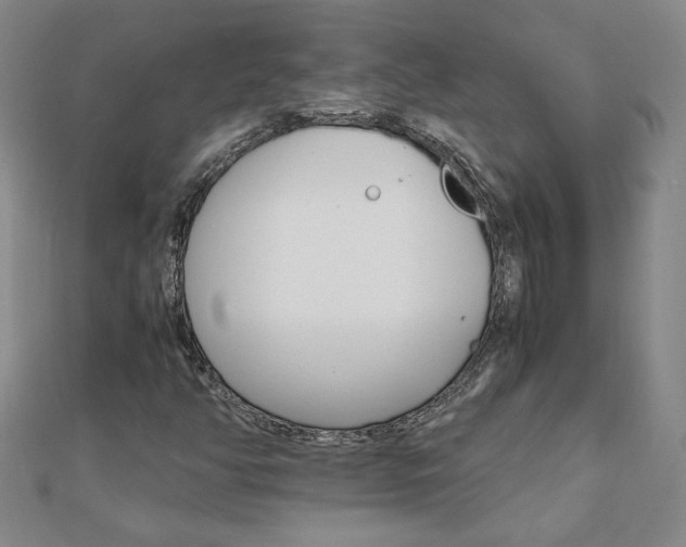 X0000111901350200908031108