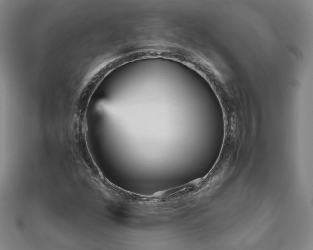 X0000111901352200908031108