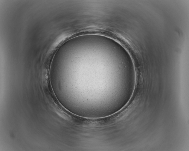 X0000111901355200908031108