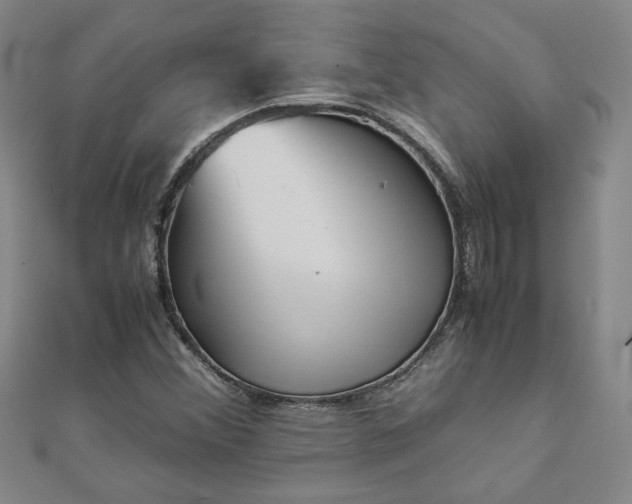 X0000111901356200908031108