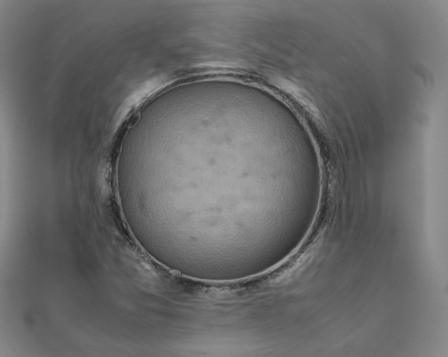 X0000111901357200908031108