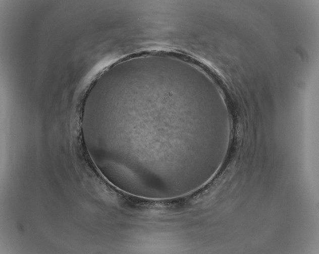 X0000111901359200908031108