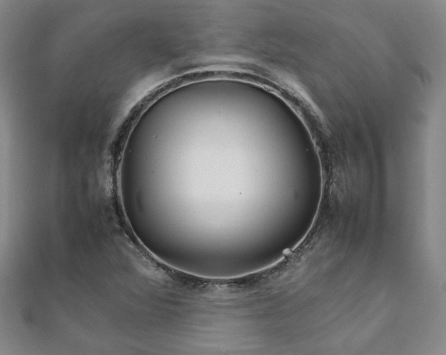 X0000111901360200908031108