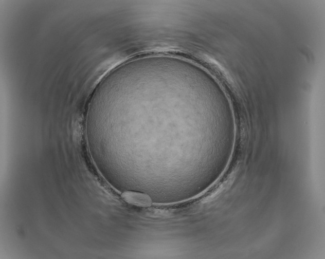 X0000111901361200908031108