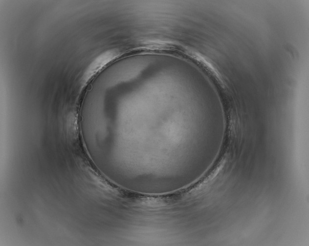 X0000111901362200908031108