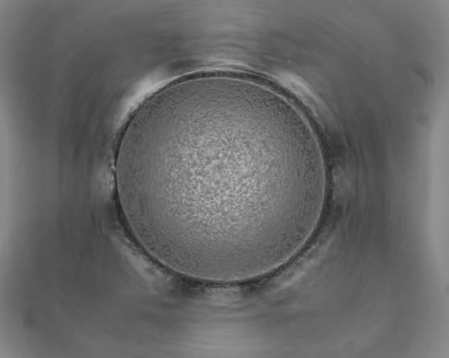 X0000111901363200908031108