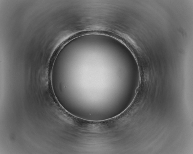 X0000111901364200908031108