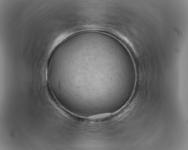 X0000111901365200908031108