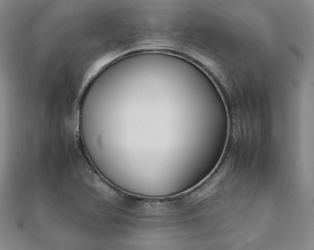 X0000111901366200908031108