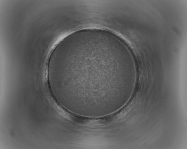 X0000111901367200908031108