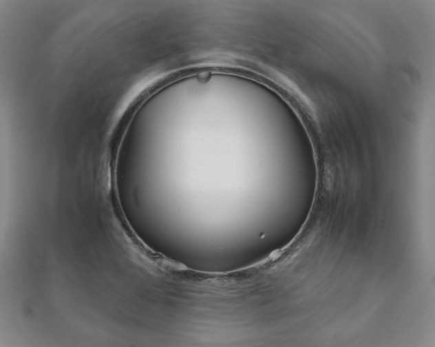 X0000111901368200908031108