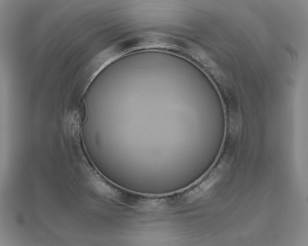 X0000111901369200908031108