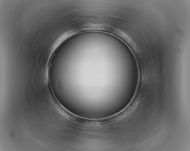 X0000111901370200908031108