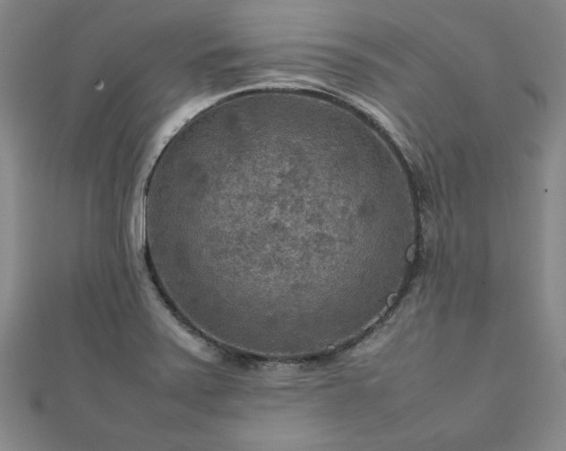 X0000111901371200908031108