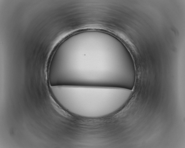 X0000111901372200908031108