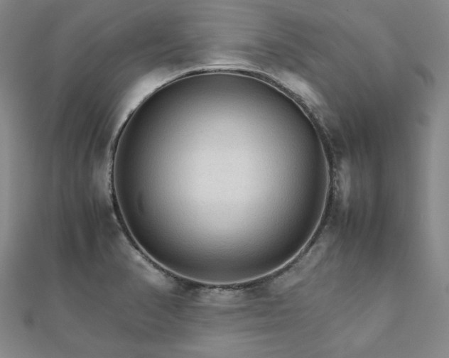 X0000111901374200908031108