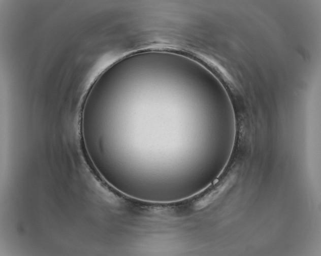 X0000111901375200908031108