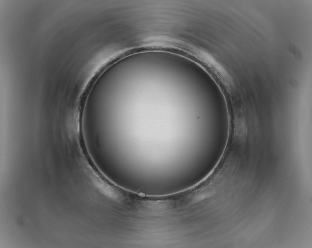 X0000111901376200908031108