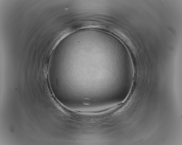 X0000111901377200908031108