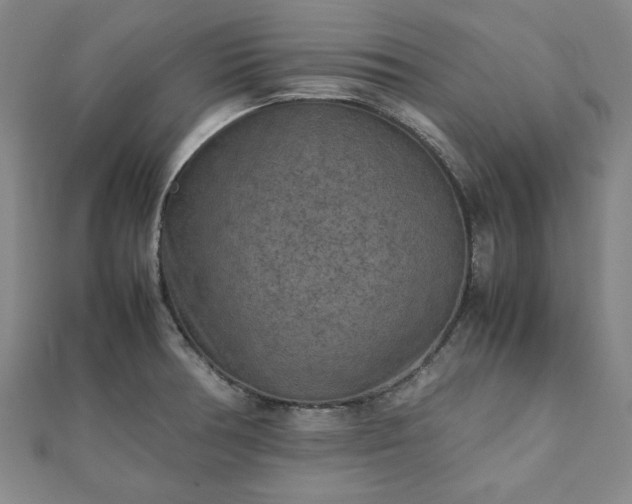 X0000111901378200908031108