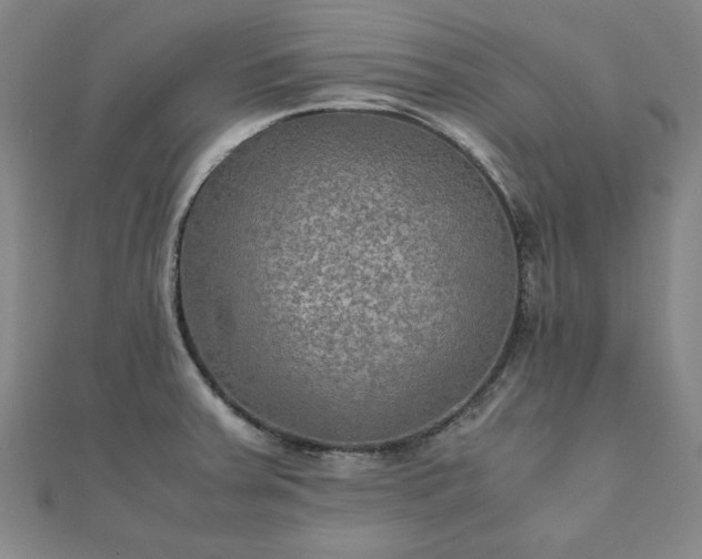 X0000111901379200908031108