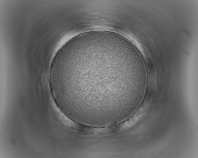 X0000111901381200908031107