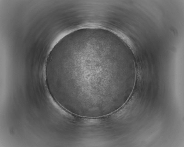 X0000111901382200908031107