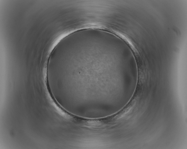 X0000111901383200908031107