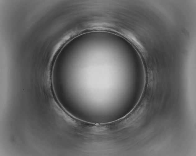 X0000111901384200908031107