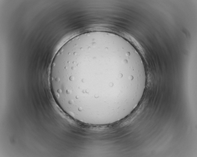 X0000111901386200908031107