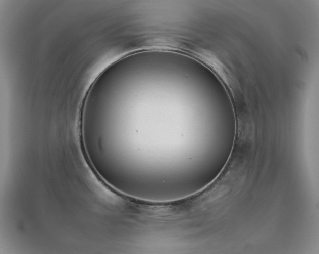 X0000111901387200908031107