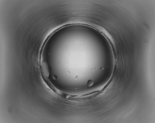 X0000111901388200908031107